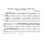 J.S. BACH - PRELUDIO E FUGA IN SOL MINORE BWV 558 per due fisarmoniche [DIGITAL]